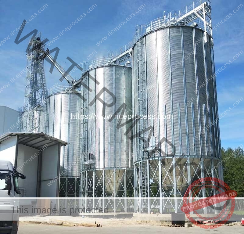 1000TON-Paddy-Rice-Storage-Silo