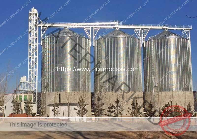 3200TON Steel Storage Silo for Paddy Rice