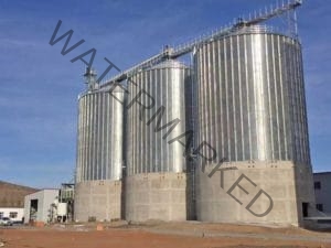 6000TON Paddy Rice Storage Steel Silo