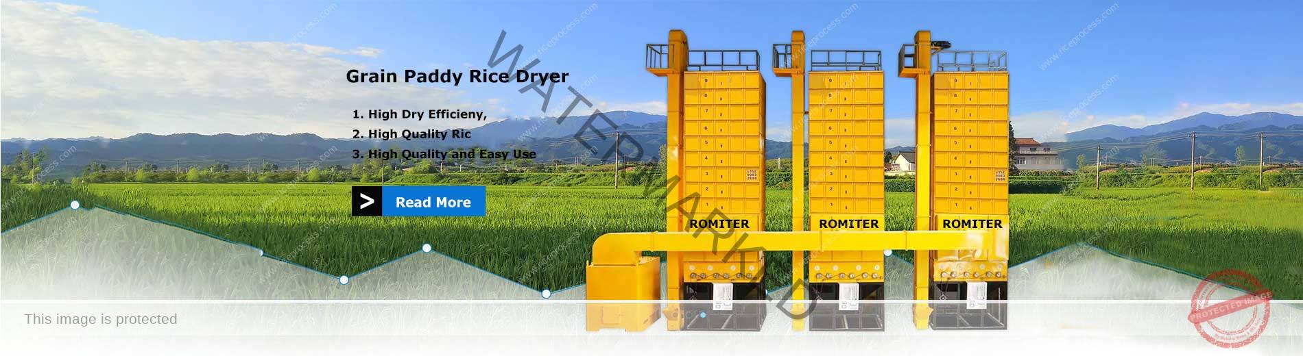 Automatic Paddy Rice Dryer Machine