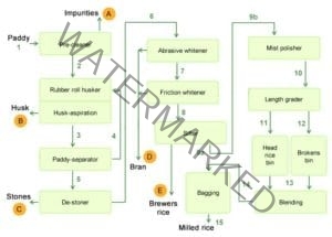 Introduction of Rice Mill Process Flow